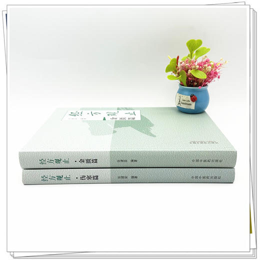 【全2册】经方观止（金匮篇+伤寒篇）张建荣 编著 中国中医药出版社 金匮要略 伤寒论 中医临床 书籍 商品图2