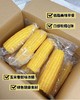 当季采摘❗️一年只卖一次❗️敖汉旗非转基因“香糯玉米”🌽【蒙谷阳光敖汉玉米】软糯爆浆😋 商品缩略图0