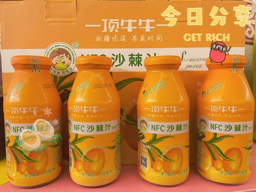 顶牛牛NFC鲜榨沙棘果汁245ml/瓶*10瓶 （玻璃瓶装） 商品图2