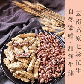 云南野地七彩花生    果肉脆而不硬  果形细长   甘香回甜   花生籽粒白底带紫色 色彩鲜明   包邮发出