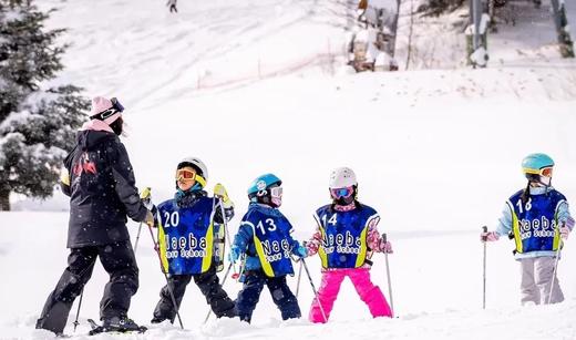 限时早鸟减700元，12.16截止【2026寒假 | 神农架5天4晚冰雪亲子营】南方滑雪性价比之王！玩转世遗景区，2大雪场，高铁方便，温度友好！探秘三峡、金丝猴，五钻酒店连住不挪窝 商品图3