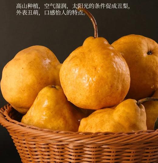 杞冠臻选 | 山东烟台 中华丑梨 丑萌好吃 皮薄核小 软糯多汁 甜度高 4.5斤/箱 邮政或圆通 商品图2