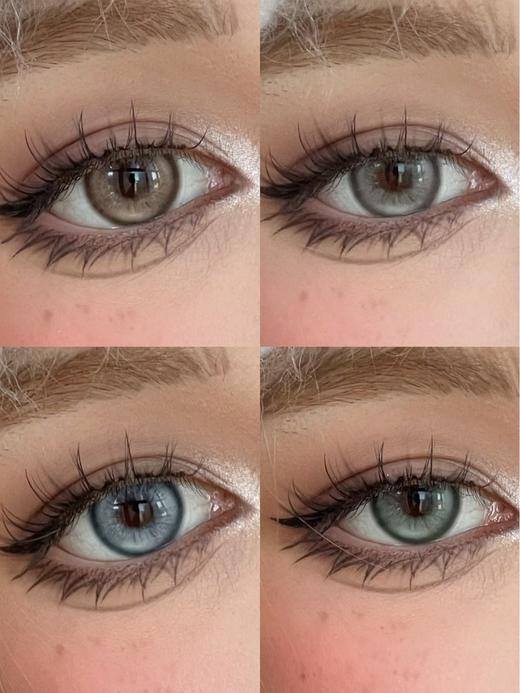 bollycon 波斯来电/威廉海兔/埃及琥珀/热带曼巴 14.5mm 灰/蓝/棕/绿 年抛 商品图3