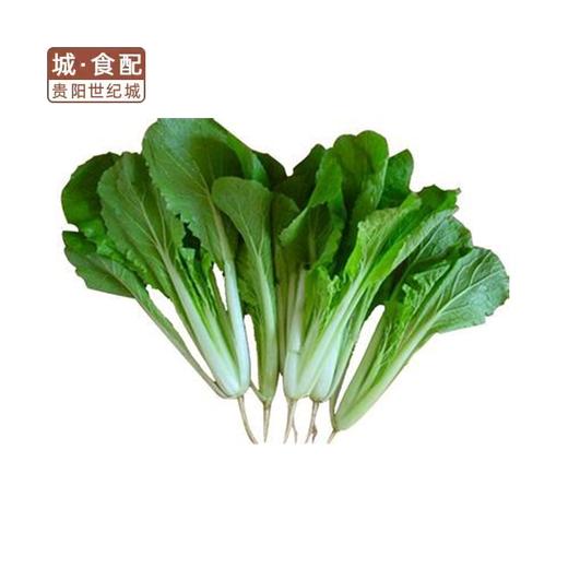 本地白杆小白菜500g/份【GYZH】 商品图0