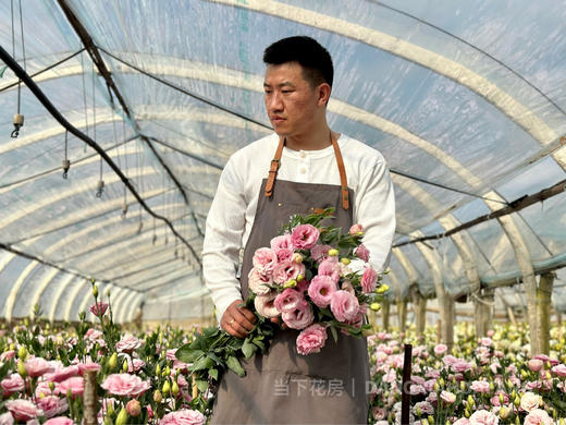 【超大份量洋桔梗】一束约40朵/份 随机至少3个品种 商品图11