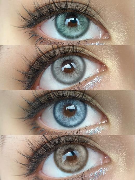 bollycon 波斯来电/威廉海兔/埃及琥珀/热带曼巴 14.5mm 灰/蓝/棕/绿 年抛 商品图1