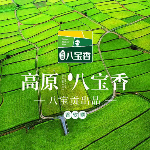 文山广南 八宝香.香软米多种规格 商品图2