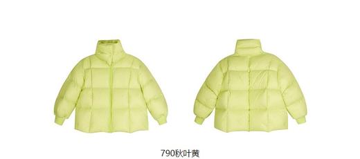 jnby  23年冬款  短款羽绒服1NAC10400 商品图13