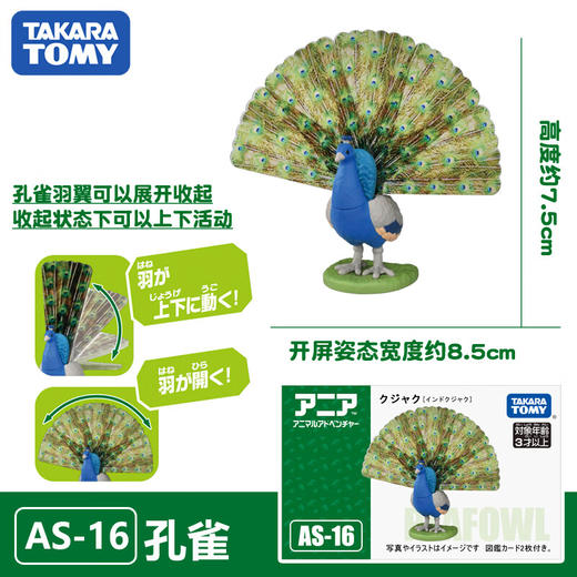 安利亚动物ANI-225362安利亚-孔雀 商品图1