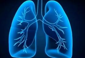  肺不好，寿命短！4个方法养肺排垢，有效远离肺部疾病，阻断肺燥！ 
