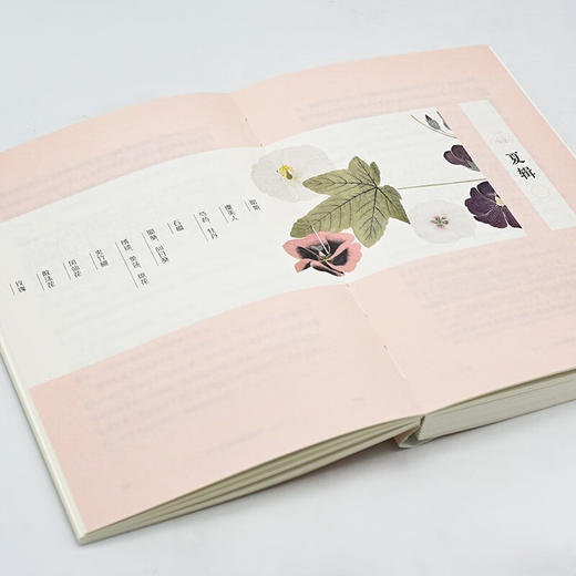 古典植物园2：传统文化中的草木之美（自然感悟） 汤欢 著 商务印书馆 商品图8