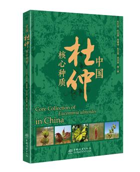 中国杜仲核心种质 2256