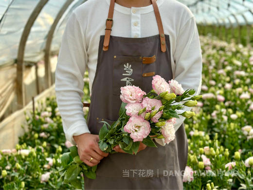 【超大份量洋桔梗】一束约40朵/份 随机至少3个品种 商品图7