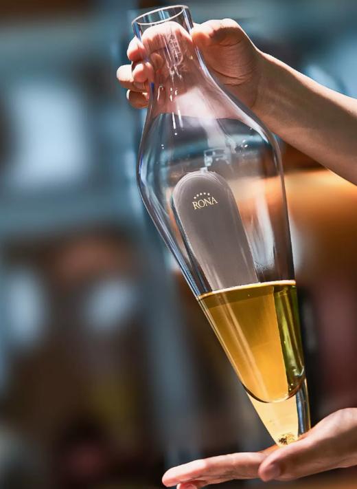 Rona白葡萄醒酒器可以放入冰桶 商品图2