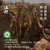 合作产品/有机铁棍怀山药  一盒4斤装 全国包邮 商品缩略图3