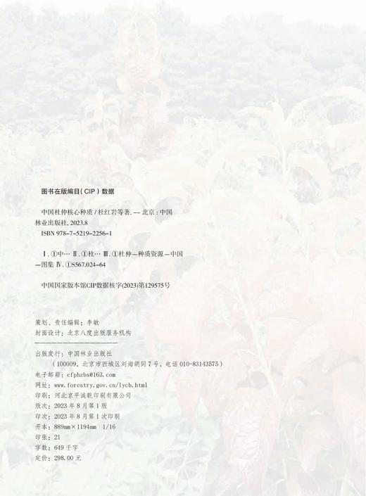 中国杜仲核心种质 2256 商品图2