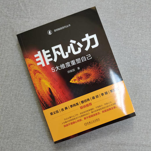 官网 非凡心力 5大维度重塑自己 田俊国 心理咨询 疗愈 成功心理学书籍 商品图2