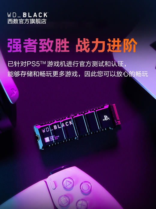 WDBLACK 西部数据 SN850P / P40 游戏固态硬盘 商品图2