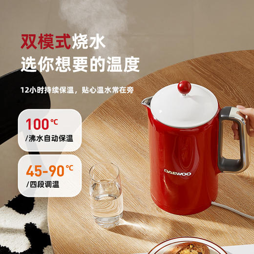 大宇电热水壶|看一眼就心动，4分钟烧开水，四段恒温从早暖到晚 商品图2
