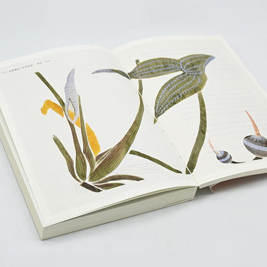 古典植物园2：传统文化中的草木之美（自然感悟） 汤欢 著 商务印书馆 商品图7