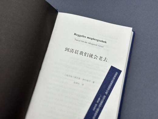 【书香卡专区】纯粹· 到清晨我们就会老去 （匈）图尔茨·伊什特万/著 余泽民/译 商品图4