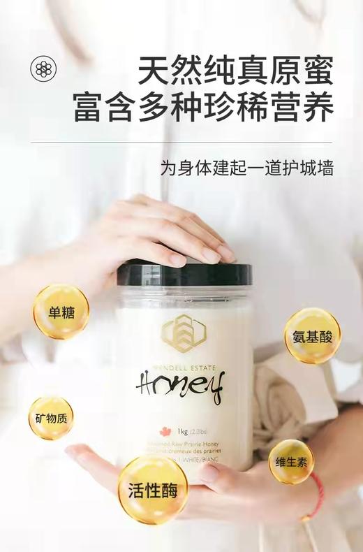加拿大原产白蜜 原蜜 获多项国际大赛金奖 一年只产一次 粘稠香甜 无任何添加 原装进口 包邮 |百里食 商品图2