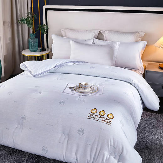南方生活	A类棉有奶蛋白印花冬被	200*230cm 商品图2