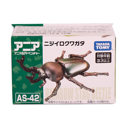安利亚动物ANI-908531安利亚-彩虹甲虫 商品图1