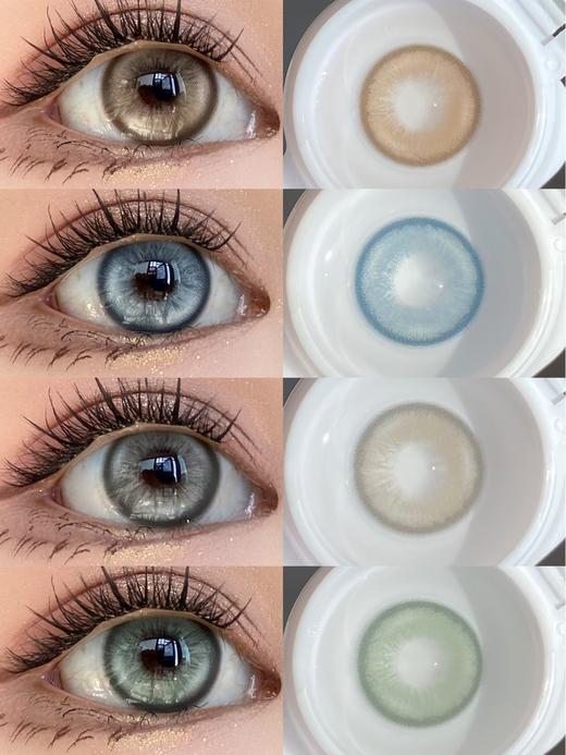 bollycon 波斯来电/威廉海兔/埃及琥珀/热带曼巴 14.5mm 灰/蓝/棕/绿 年抛 商品图2