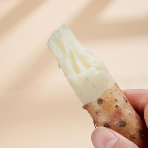 正宗河南焦作温县垆土地铁棍山药新鲜产地直发 商品图3