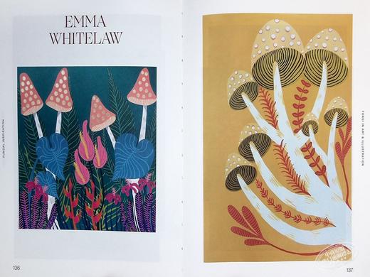 【中商原版】Victionary自然艺术插画套装（共两本）进口艺术 Victionary 商品图5