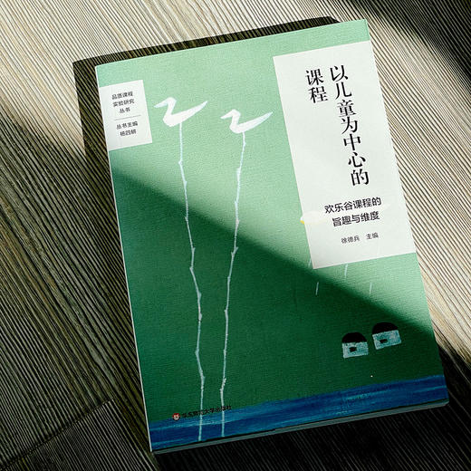 以儿童为中心的课程 欢乐谷课程的旨趣与维度 品质课程实验研究丛书 特色课程建设 学校特色文化构建 小学案例 华东师大出版社 商品图3