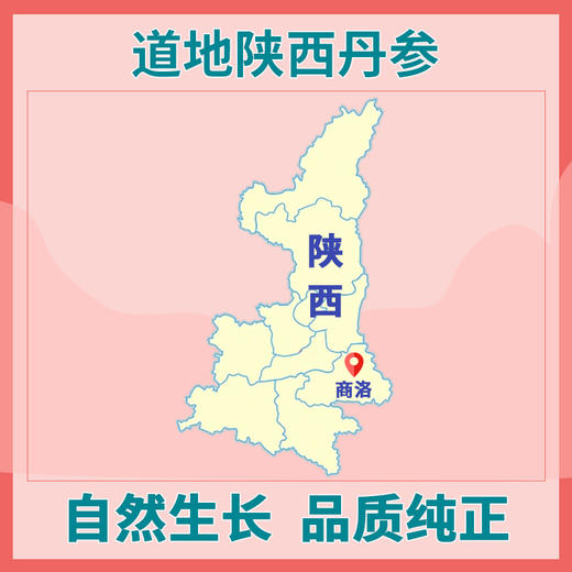 玉衡仿野生丹参粉 道地丹参打粉 超细粉 参味浓郁 养生茶128g 商品图1