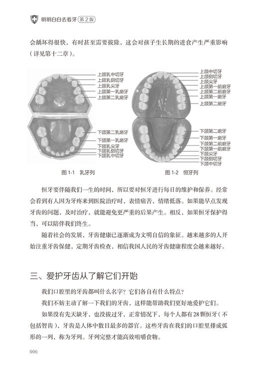 明明白白去看牙 第2版 刘峰王世明张祖燕编 北大口腔医生人民卫生出版社牙科疾病根管治疗口腔清洁护理临床医学口腔修复正畸书籍 商品图3