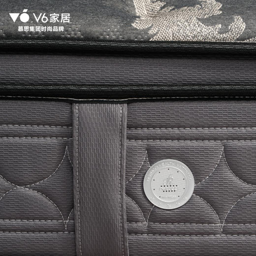 V6家居 MFB1-101 黑骑士 商品图5