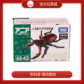 安利亚动物ANI-908548安利亚-锯齿瓢虫
