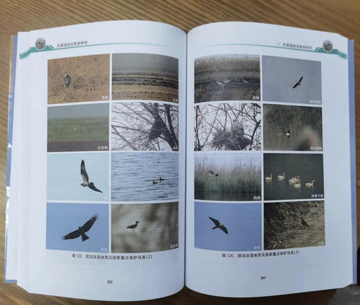 天津湿地生物多样性 商品图3