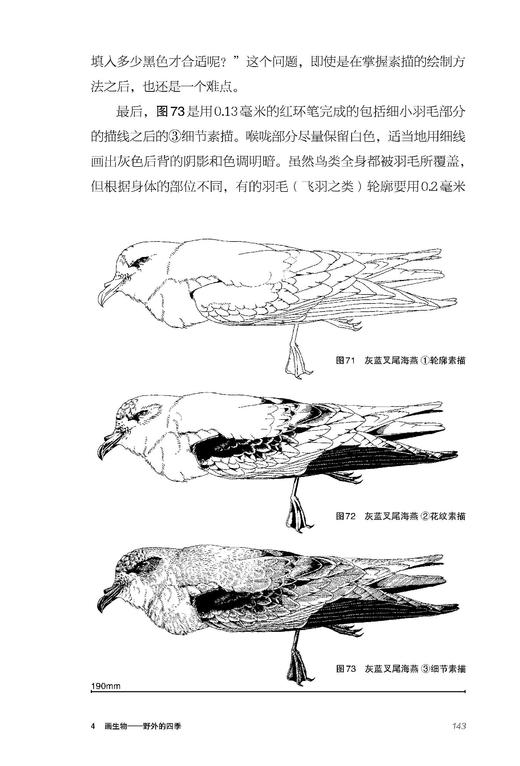 如何描画生物  观察自然的方法 商品图3