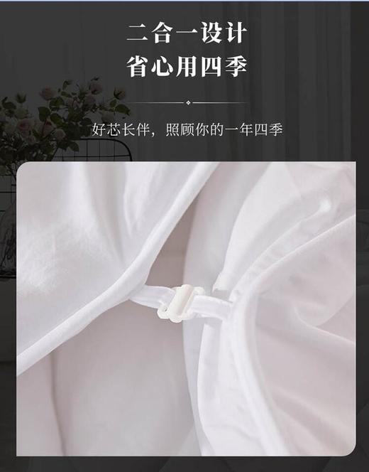 梦洁舒柔蓬弹二合一被1010289062 商品图4