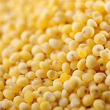 【搭把手】册亨优选小米*2袋 商品图1