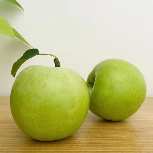 都乐青佳丽 商品图0