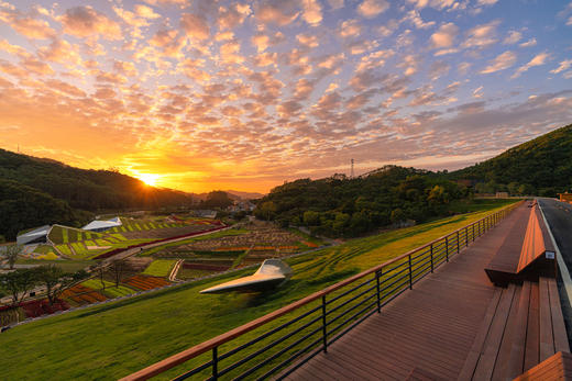 广州从化团建方案 商品图6