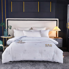 南方生活	A类棉有奶蛋白印花冬被	200*230cm