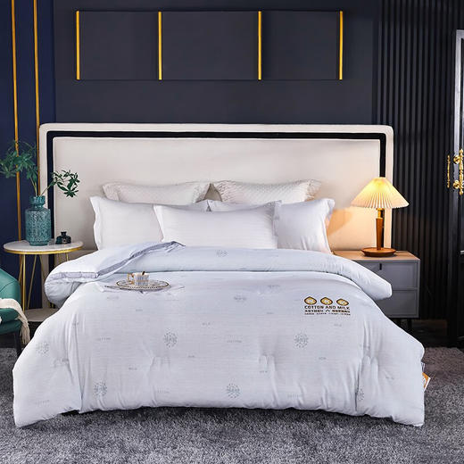 南方生活	A类棉有奶蛋白印花冬被	200*230cm 商品图0