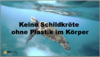 Keine Schildkröte ohne Plastik im Körper 商品缩略图0