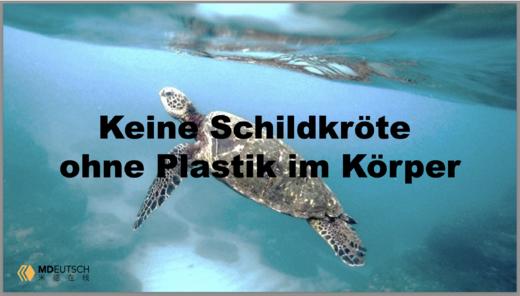 Keine Schildkröte ohne Plastik im Körper 商品图0