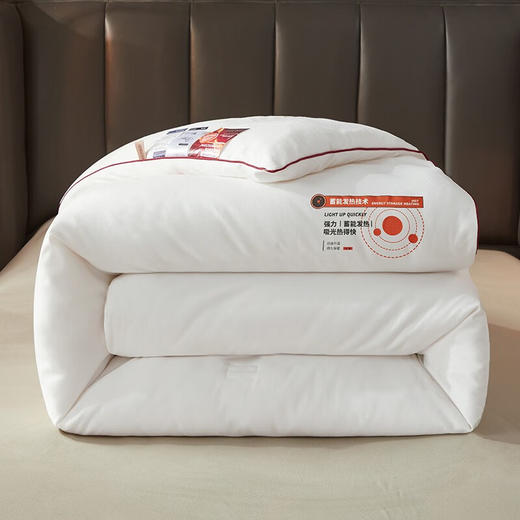 南方生活	蓄能强力发热立体科技冬被	200*230cm 商品图1