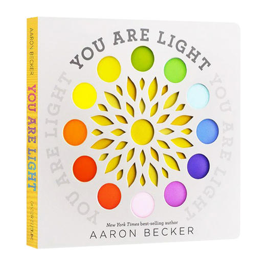 英文原版绘本 You Are Light 颜色光线 你说光 英文版 透明片纸板书 洞洞书 不可思议的旅程作者 Aaron Becker 商品图0