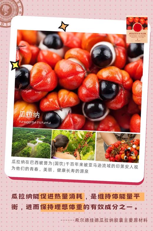 捷克圣希尔德佳德瓜拉纳安心瘦减重胶囊全身排油纯植物强代谢 商品图3