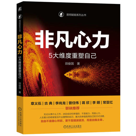 官网 非凡心力 5大维度重塑自己 田俊国 心理咨询 疗愈 成功心理学书籍 商品图0